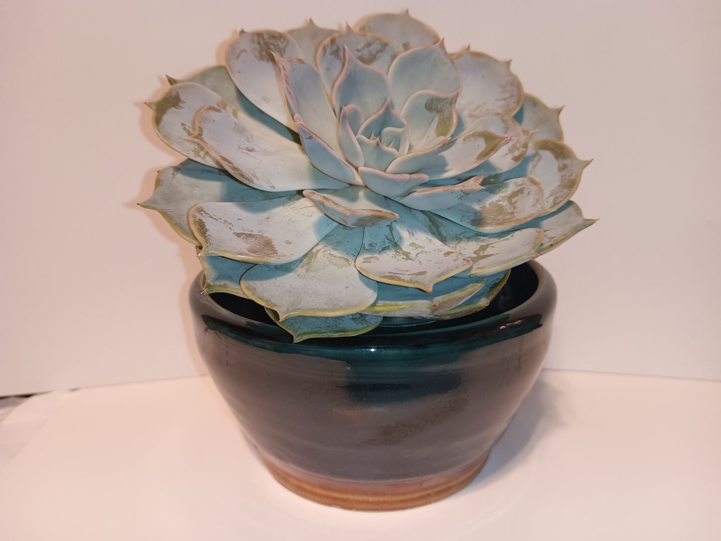Dark Green Planter