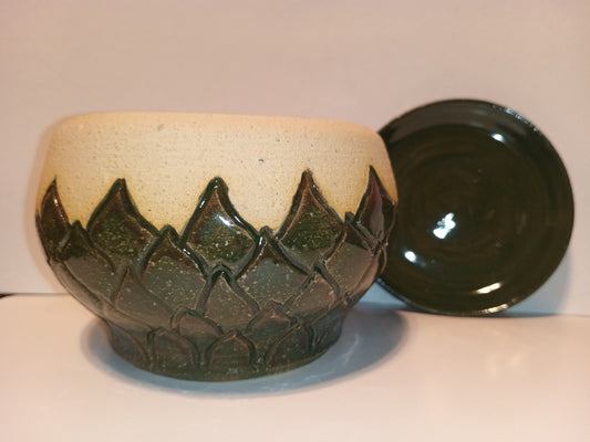 Succulent planter with tray