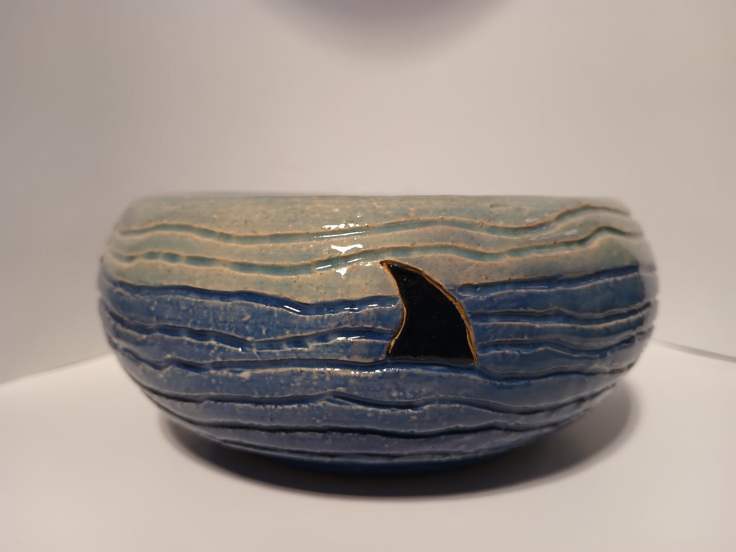 Shark Finn Planter