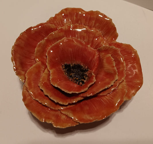 Poppy