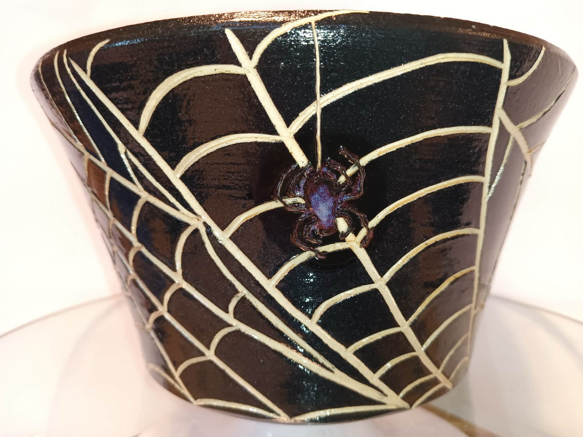 Spider Planter