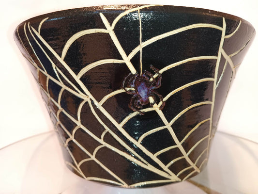 Spider Planter