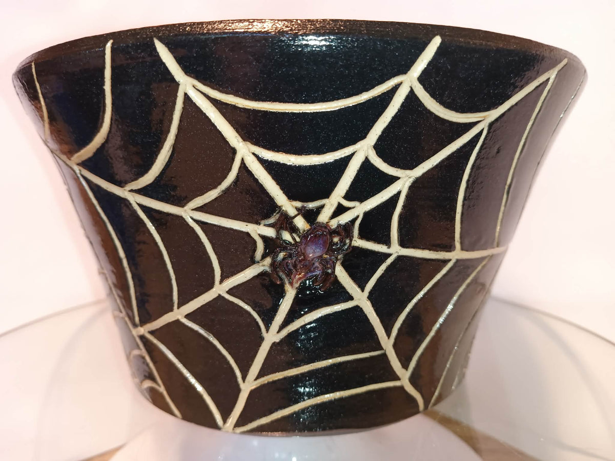 Spider Planter