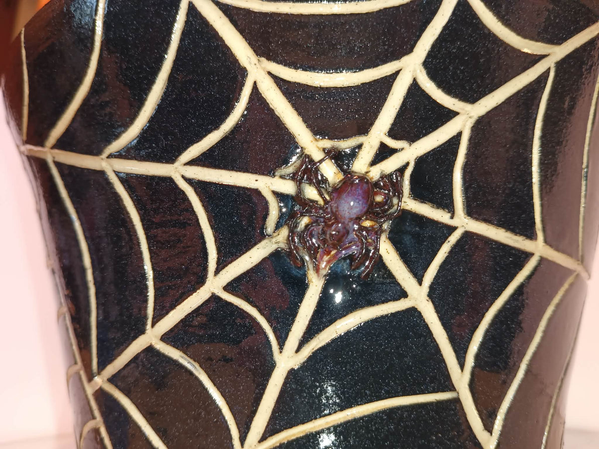Spider Planter