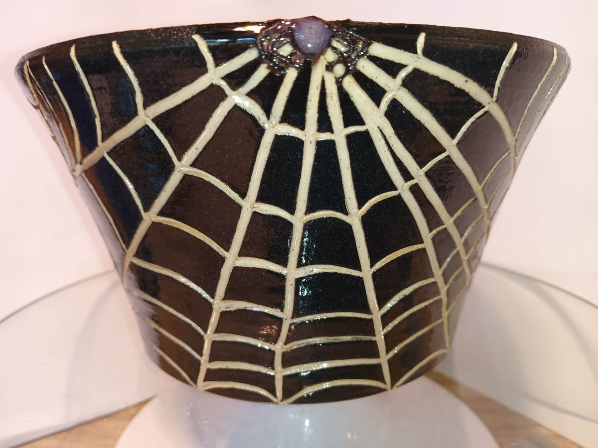 Spider Planter
