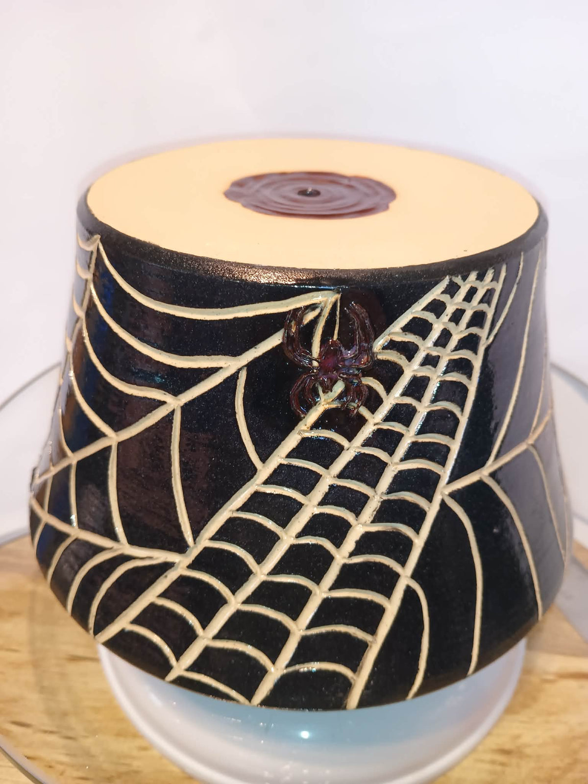 Spider Planter
