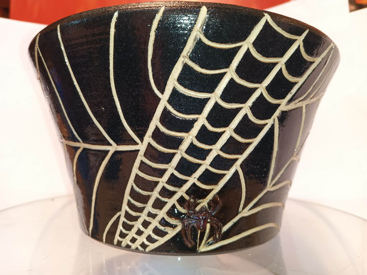 Spider Planter
