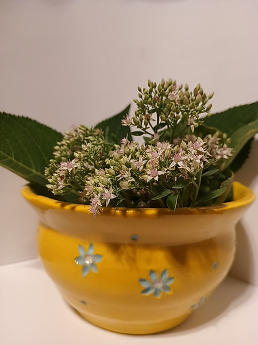 Yellow Floral Planter